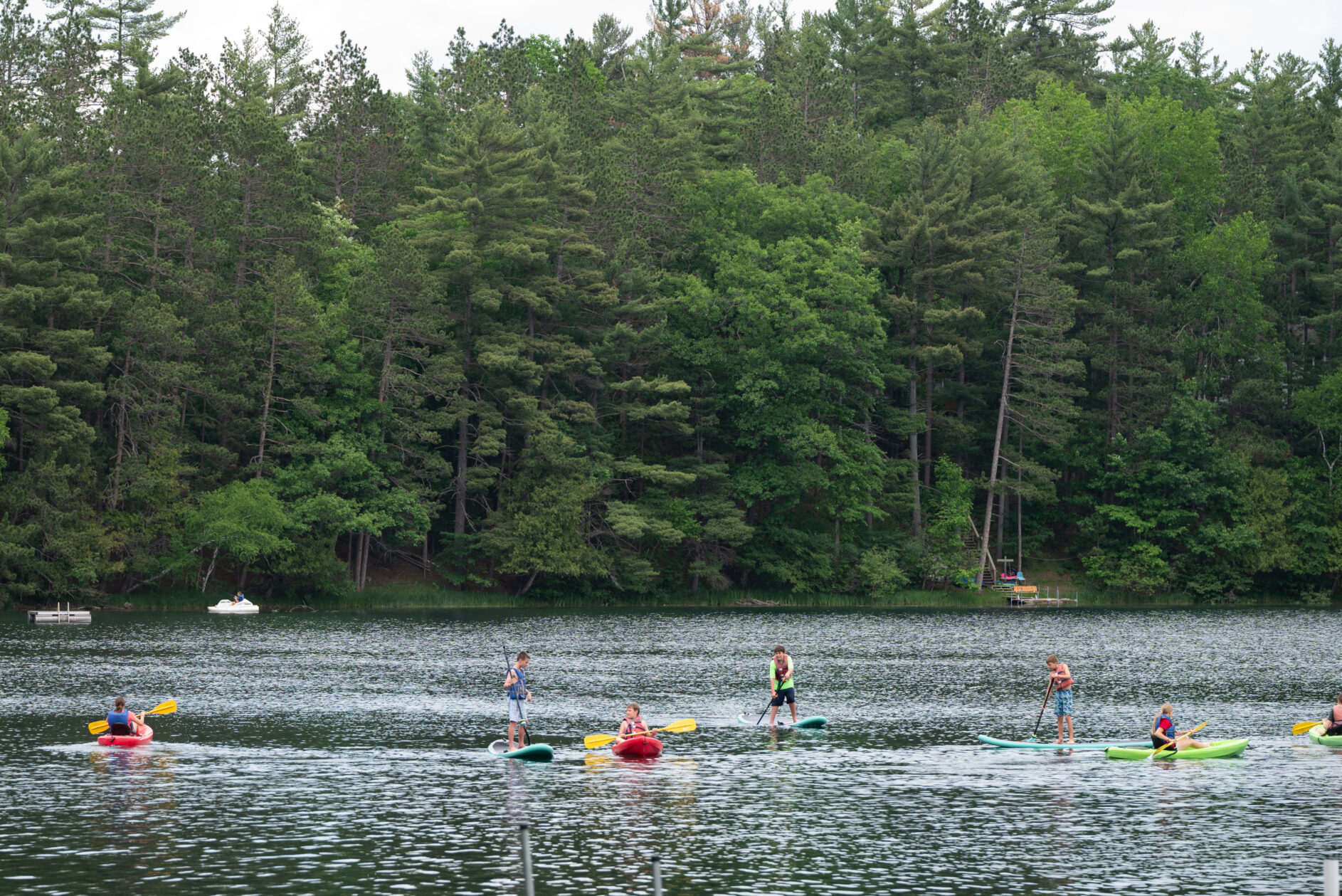 20250618-20250618-DSC_7153